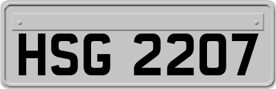 HSG2207