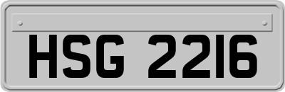 HSG2216