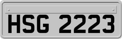 HSG2223