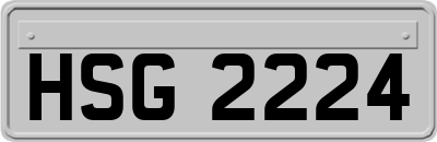 HSG2224