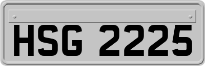 HSG2225