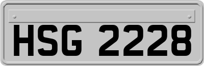 HSG2228