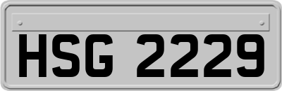 HSG2229