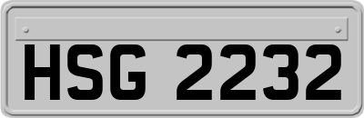 HSG2232