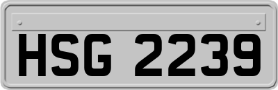 HSG2239
