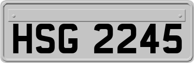 HSG2245