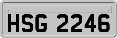 HSG2246