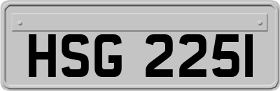 HSG2251