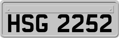 HSG2252