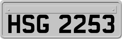 HSG2253