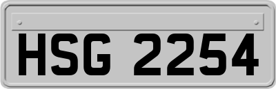 HSG2254