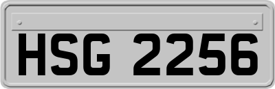 HSG2256