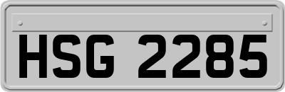 HSG2285