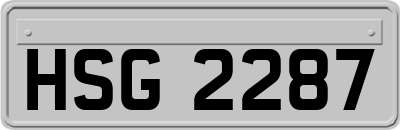 HSG2287