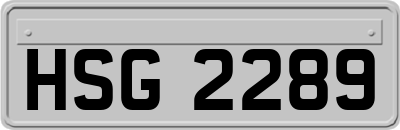 HSG2289