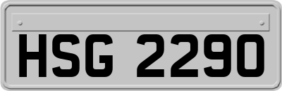 HSG2290