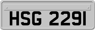 HSG2291
