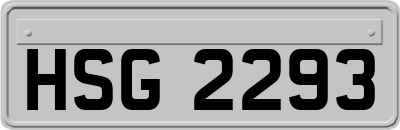 HSG2293