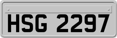 HSG2297