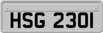 HSG2301