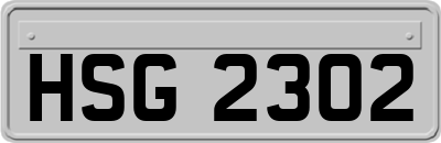HSG2302