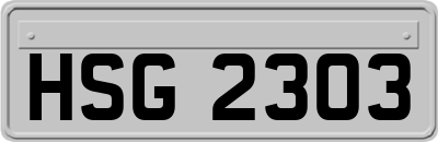 HSG2303
