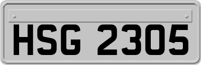 HSG2305