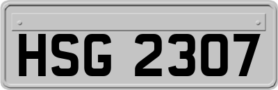 HSG2307