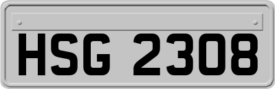 HSG2308