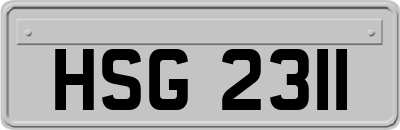 HSG2311
