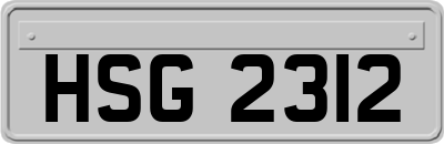HSG2312