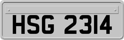HSG2314