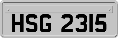 HSG2315