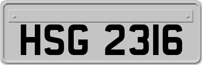 HSG2316
