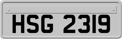 HSG2319