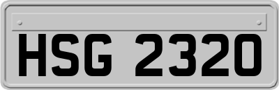 HSG2320