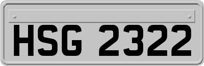 HSG2322