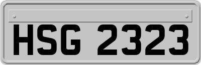 HSG2323