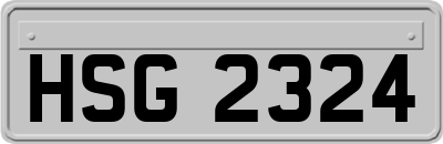 HSG2324