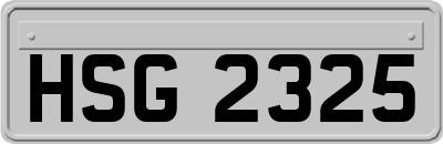 HSG2325