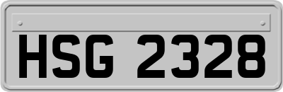 HSG2328