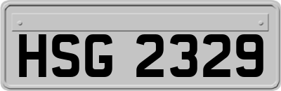 HSG2329