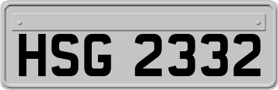 HSG2332