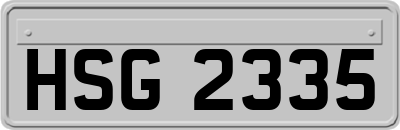 HSG2335