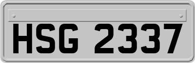 HSG2337