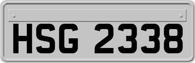 HSG2338