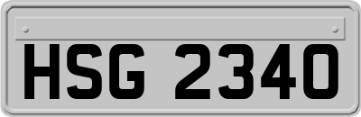 HSG2340