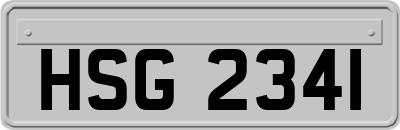 HSG2341