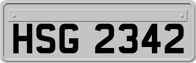HSG2342