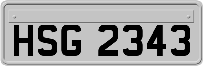 HSG2343